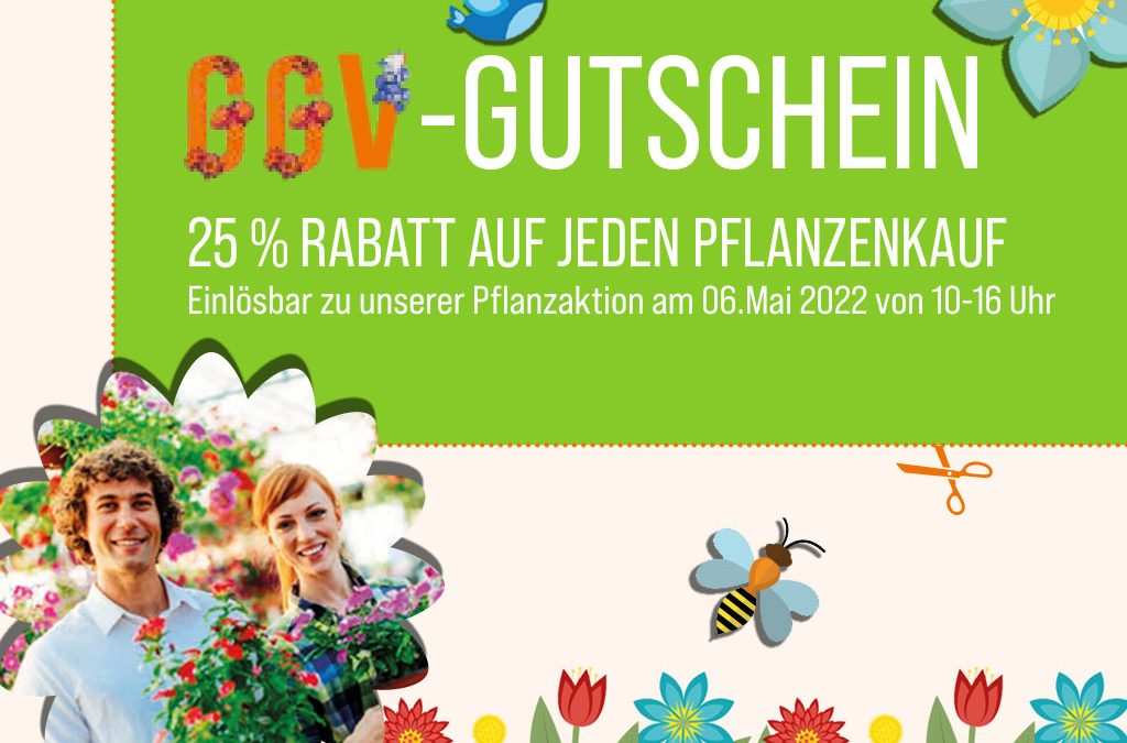 Frisches Grün in den eigenen vier Wänden