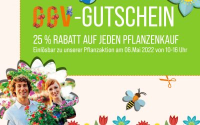 Frisches Grün in den eigenen vier Wänden