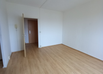 Wohnzimmer - Single-Wohnung in der Werdauer Sorge
