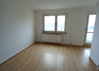 Wohnzimmer - Single-Wohnung in der Werdauer Sorge