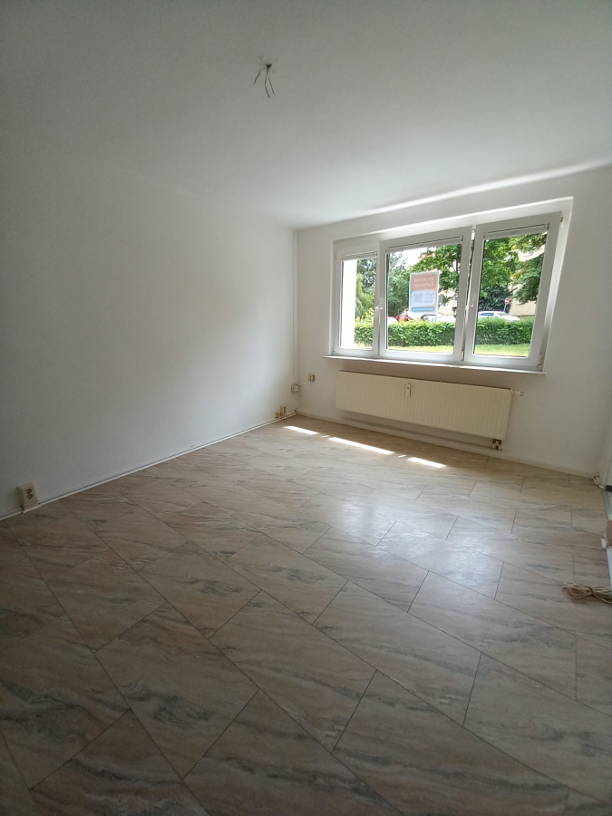 Wohnzimmer - Single-Wohnung in Werdau – Ost
