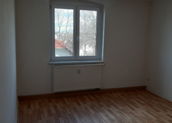 Wohnzimmer - 2-Raum Wohnung in Fraureuth!