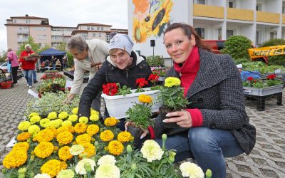 Achtung! Balkonpflanzenaktion in diesem Jahr ganz anders…